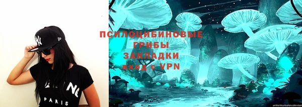 ALPHA PVP Баксан